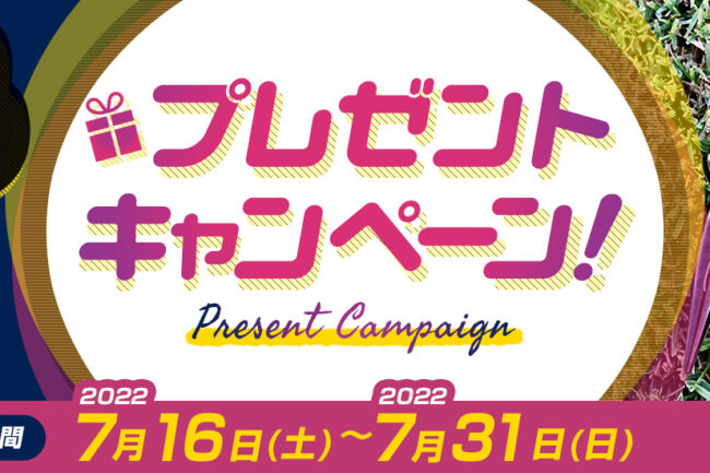 【2022年7月】プレゼントキャンペーンの画像